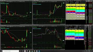 Live Trading | $TRNX | AlohaTrader