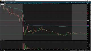 $LIZI & $AACG Trade Recaps | First Red Day Setup EXPLAINED In Detail w/ TomDiesel*