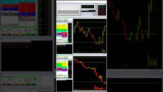 MOXC [LIVE TRADE] 30% Rule In Action | How To Manage A Loss w/ James Freedlender