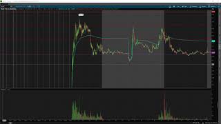 $NUZE Trade Recap | How To Trade with Conviction Explained w/ TomDiesel*