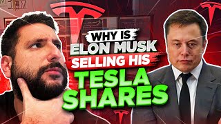 WHY ELON MUSK IS SELLING 10% OF TESLA $TSLA STOCK EXPLAINED | VOLUME | $PPSI TRADE RECAP W/ ALEX*