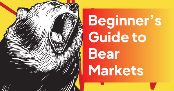 image of a beginners guide to bear markets