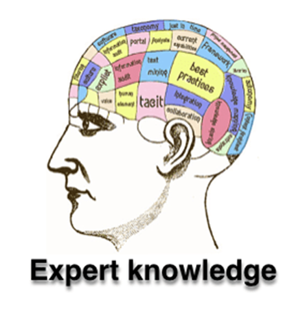 image of a brain showing expert knowledge