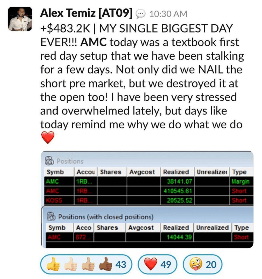 alex temiz p&l screenshot for AMC reddit stock
